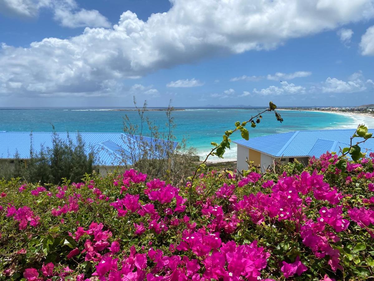 Ocean Sxm Studio Cul de Sac Esterno foto